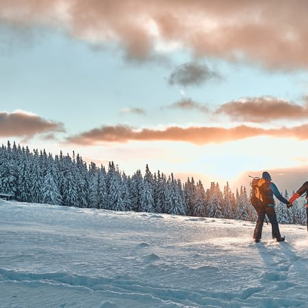 Shutterstock 2083330309